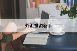 外汇投资新手(外汇投资入门到精通)