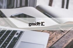 gmi外汇(gmi外汇官网登录)