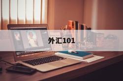 外汇101(外汇101条款是什么意思啊)